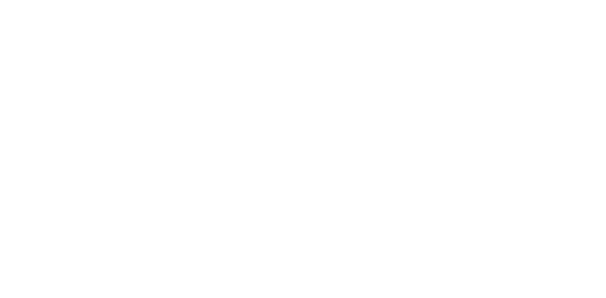 https://driftomtedansen.nl